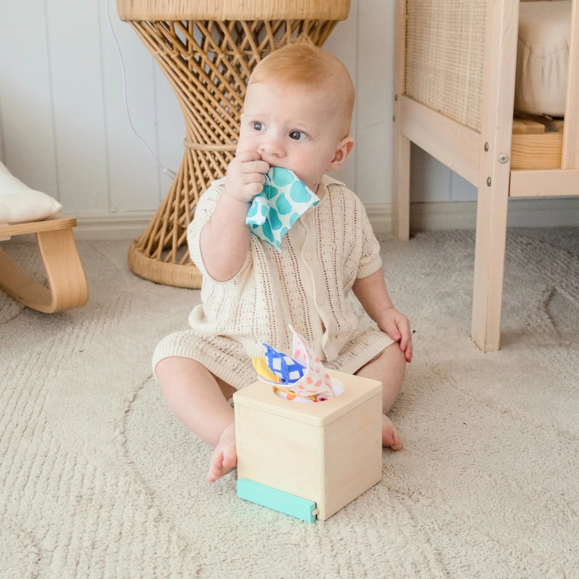 Million Dollar Babies presents: Tiny Land® Montessori Toys for Newborns (4–6 Months) - The Million Dollar Bill Co.