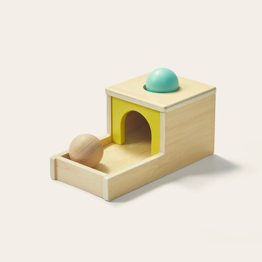 Million Dollar Babies presents: Tiny Land® Montessori Toys for Newborns (7–9 Months) - The Million Dollar Bill Co.