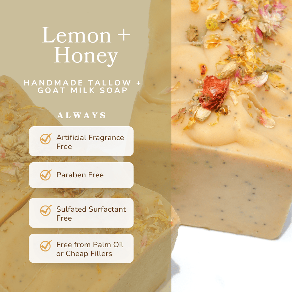 Million Dollar Beauty Lemon + Honey + Poppy Seed Handmade Tallow and Goat Milk Soap Bar - The Million Dollar Bill Co.