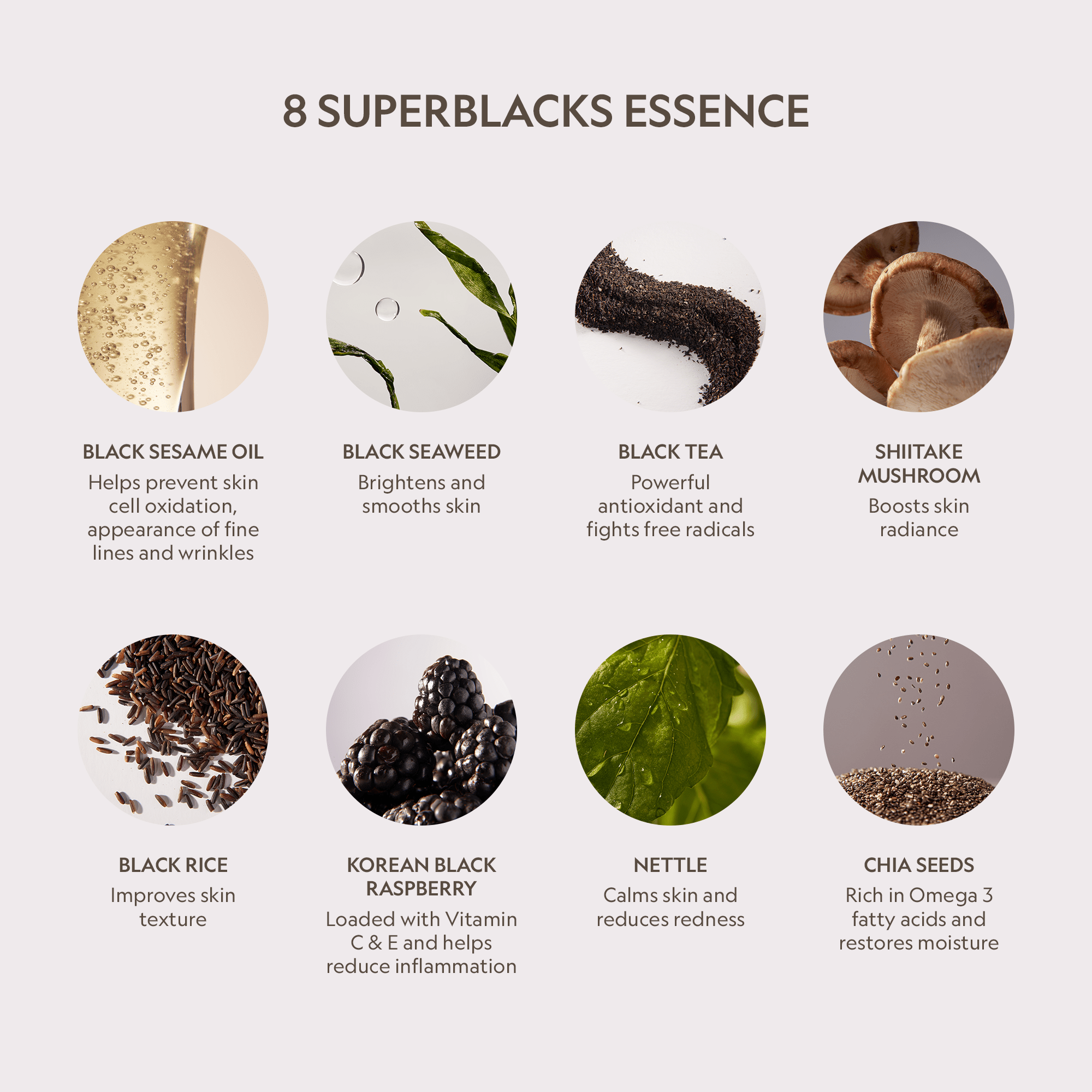 Million Dollar Beauty Super Serum Glow Hydrating Peptide Foundation for Radiant Skin - The Million Dollar Bill Co. Foundation