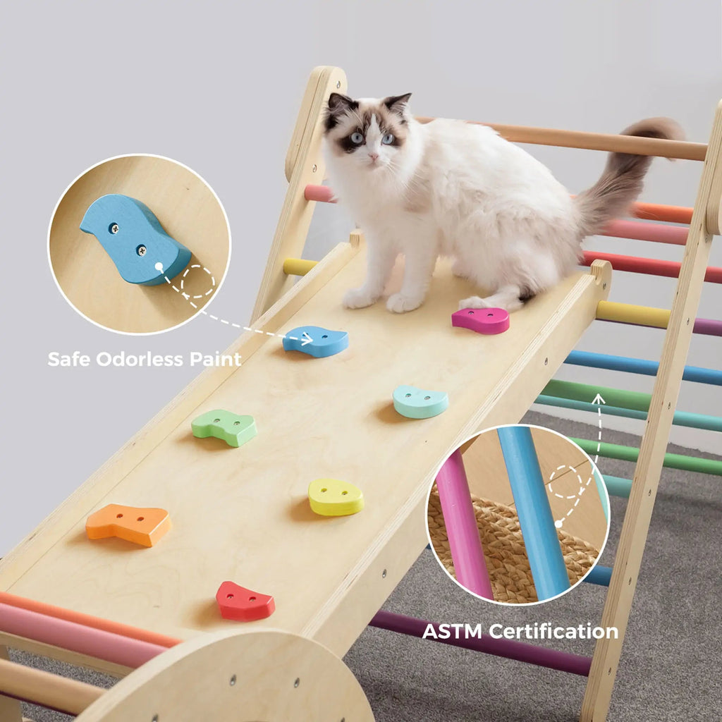 Tiny Land® 7 - in - 1 Rainbow Climbing Set - The Million Dollar Bill Co.